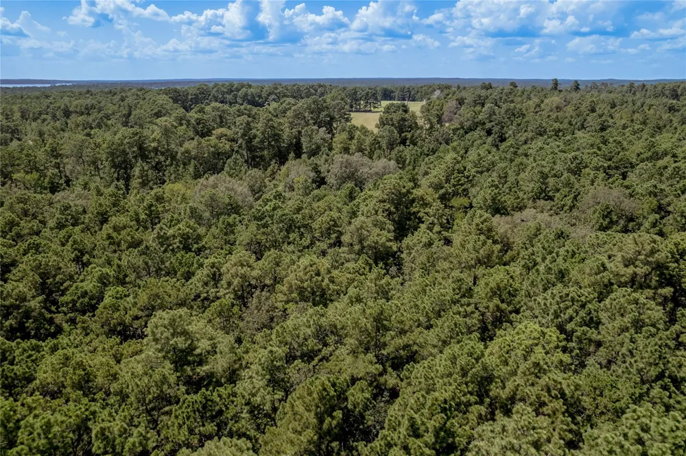 Fm 355 Trinity, TX 75862