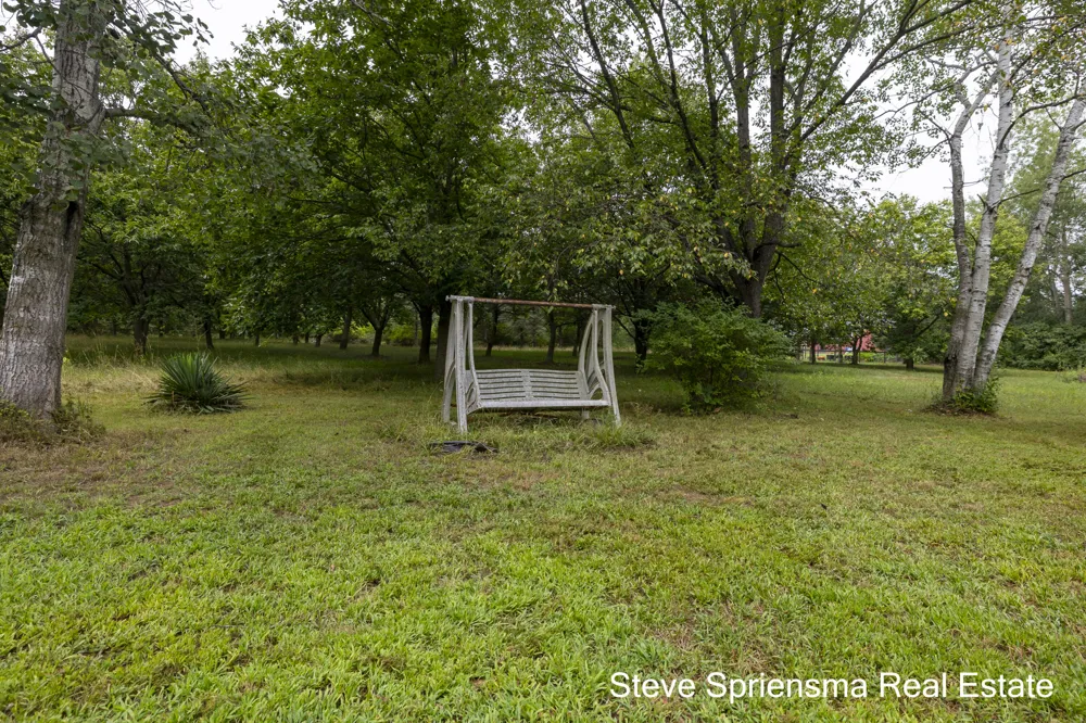 9541 Bass Drive Allendale, MI 49401