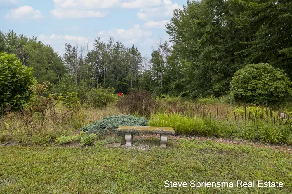 9541 Bass Drive Allendale, MI 49401