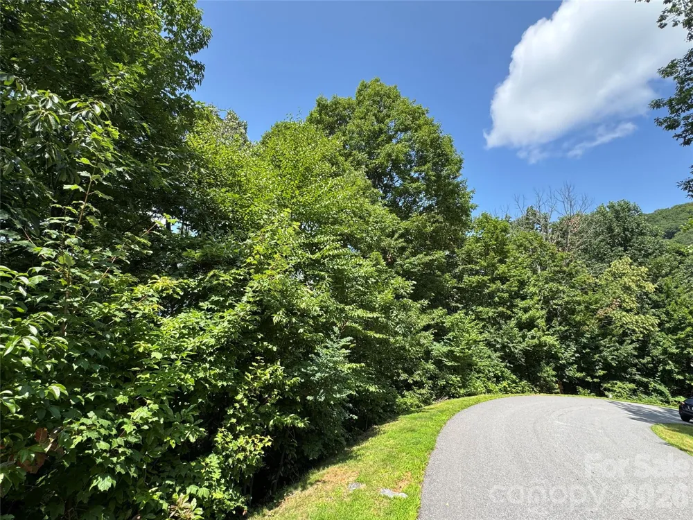 352 High Hickory Trail #20 Swannanoa, NC 28778