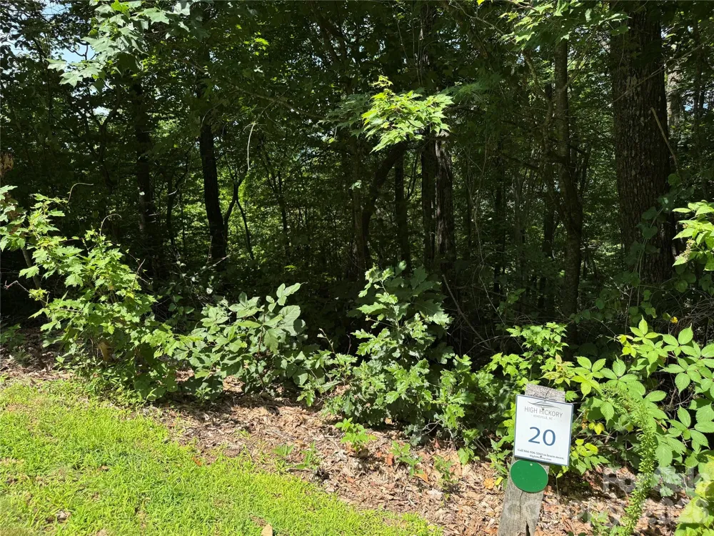 352 High Hickory Trail #20 Swannanoa, NC 28778