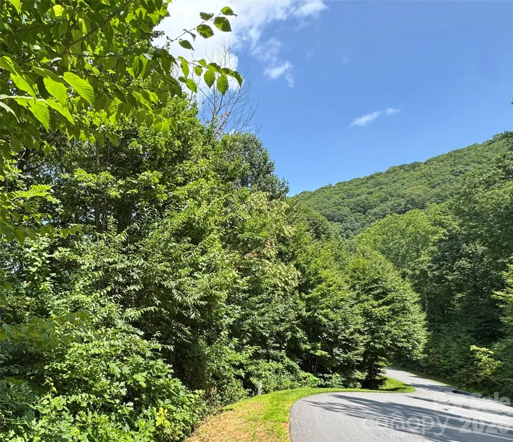 352 High Hickory Trail #20 Swannanoa, NC 28778