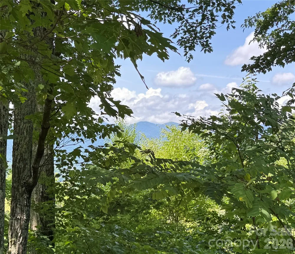 352 High Hickory Trail #20 Swannanoa, NC 28778