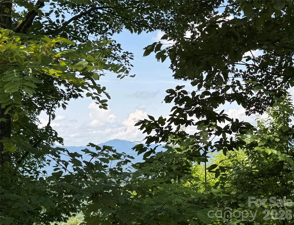 352 High Hickory Trail #20 Swannanoa, NC 28778