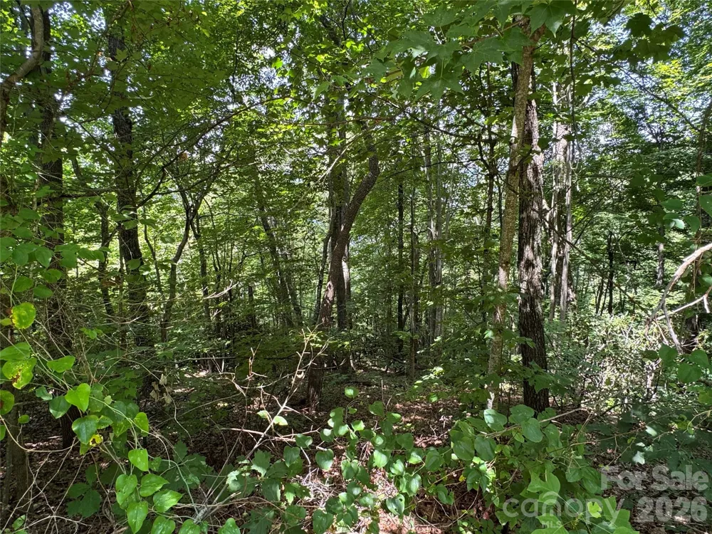 352 High Hickory Trail #20 Swannanoa, NC 28778