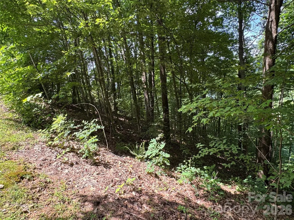 352 High Hickory Trail #20 Swannanoa, NC 28778