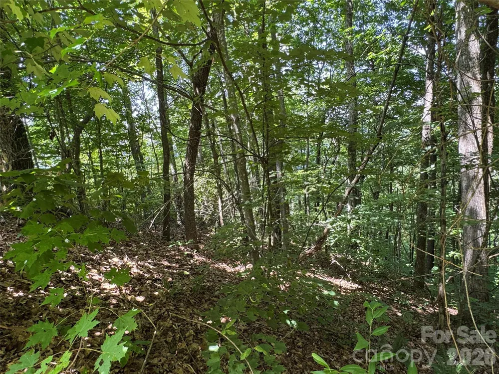 352 High Hickory Trail #20 Swannanoa, NC 28778