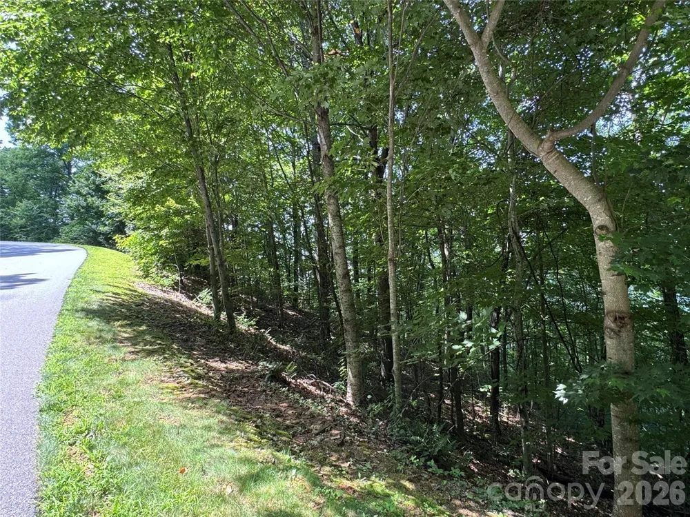 352 High Hickory Trail #20 Swannanoa, NC 28778