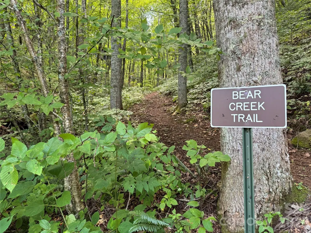 352 High Hickory Trail #20 Swannanoa, NC 28778