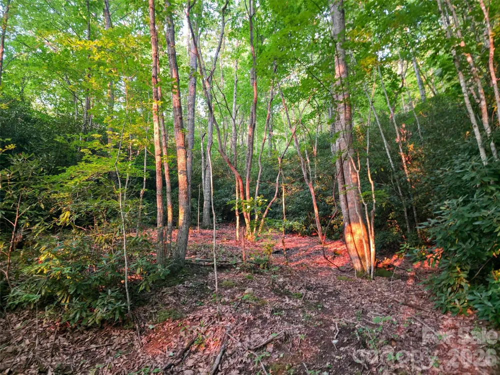 B1-B4 Anglers Ridge Waynesville, NC 28786