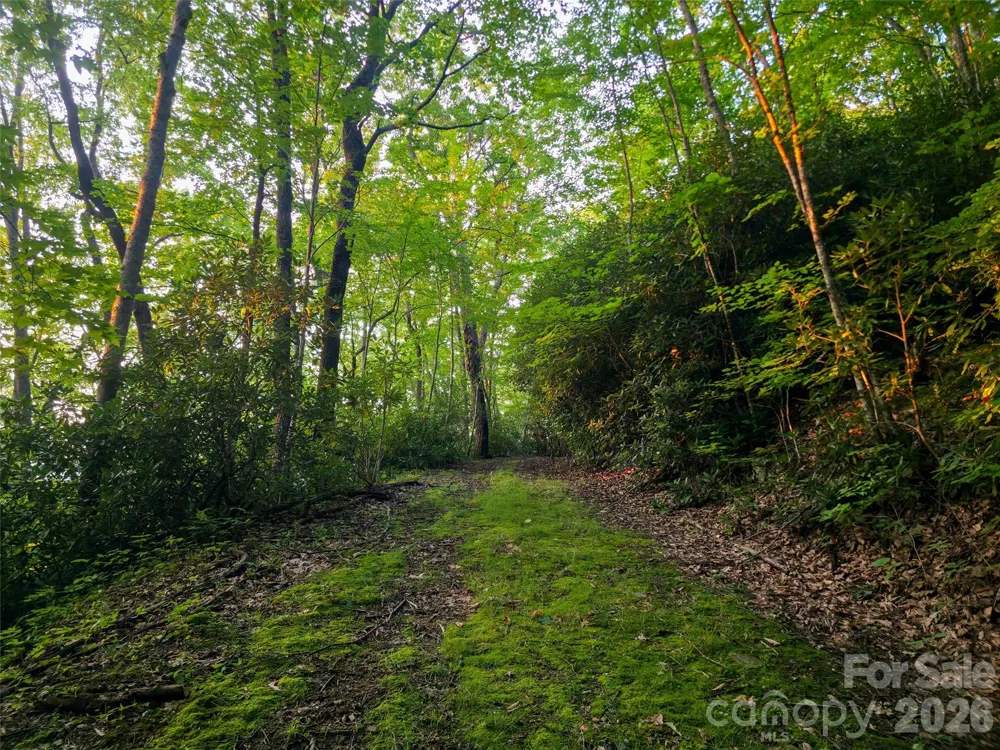 B1-B4 Anglers Ridge Waynesville, NC 28786