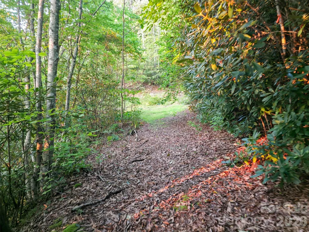 B1-B4 Anglers Ridge Waynesville, NC 28786