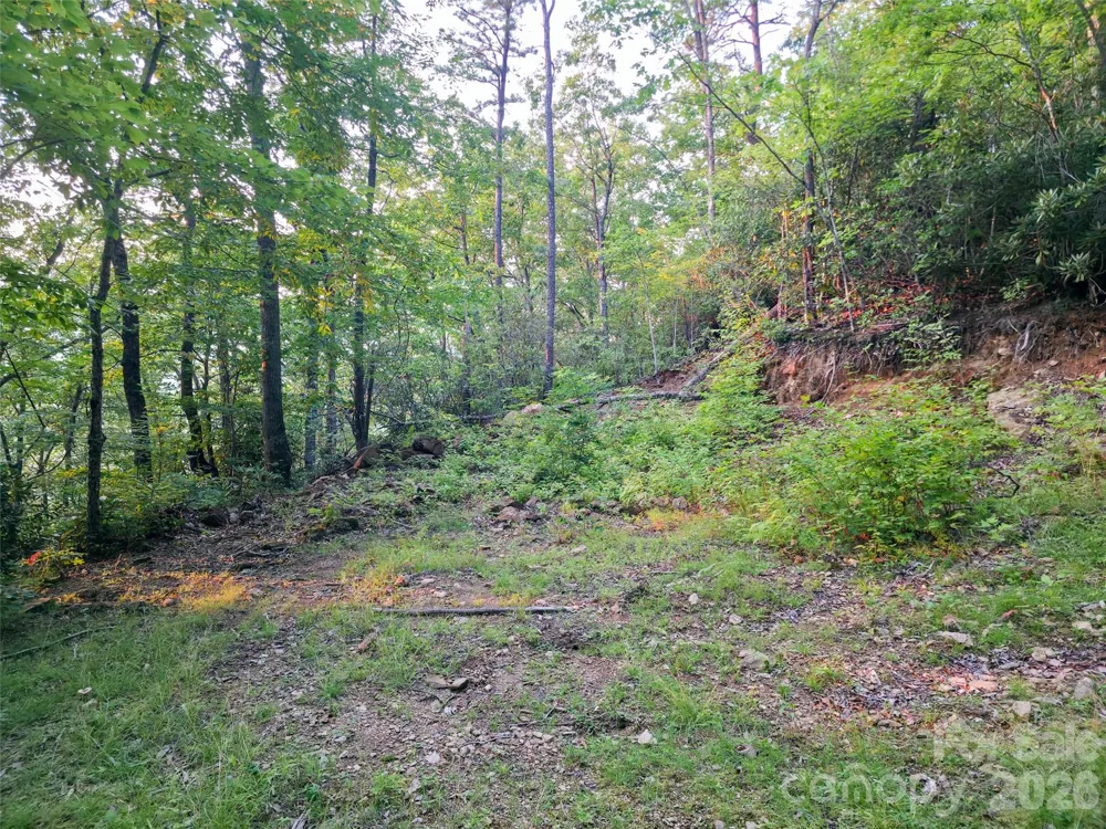 B1-B4 Anglers Ridge Waynesville, NC 28786