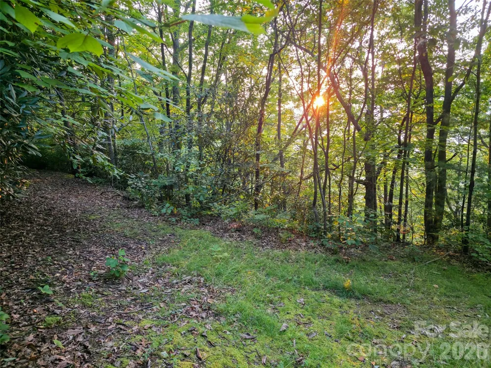 B1-B4 Anglers Ridge Waynesville, NC 28786