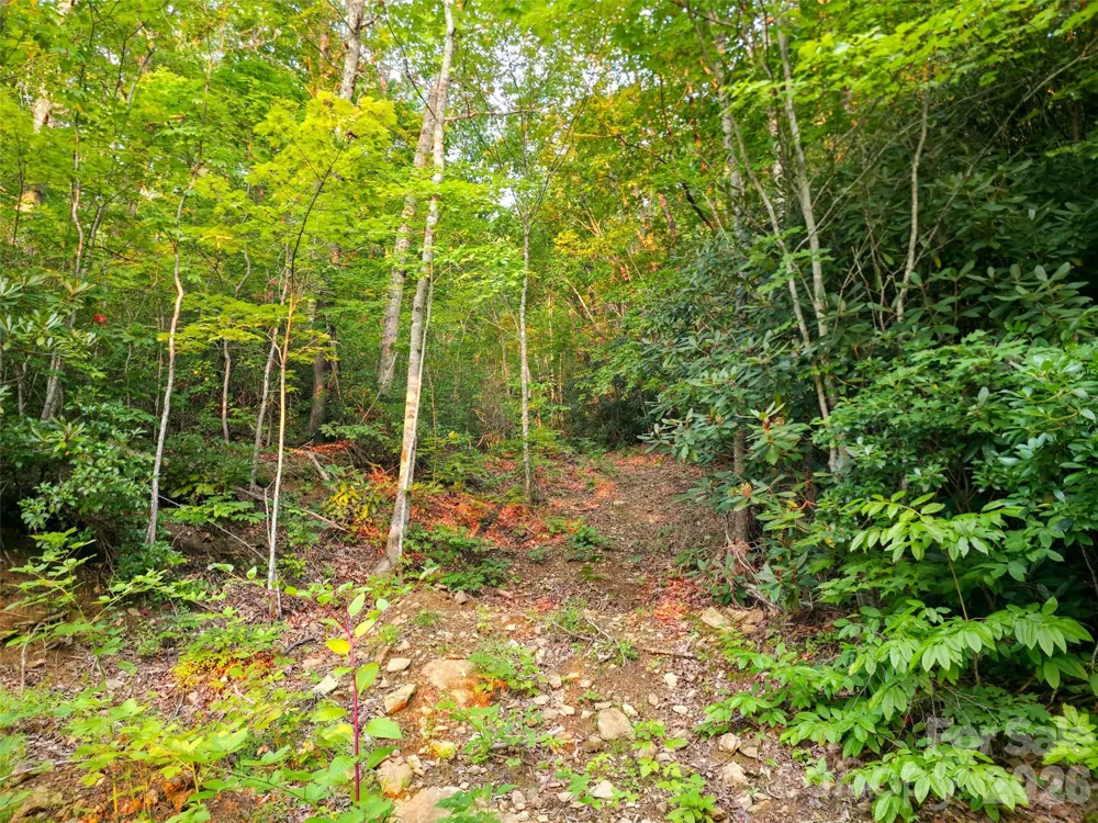 B1-B4 Anglers Ridge Waynesville, NC 28786