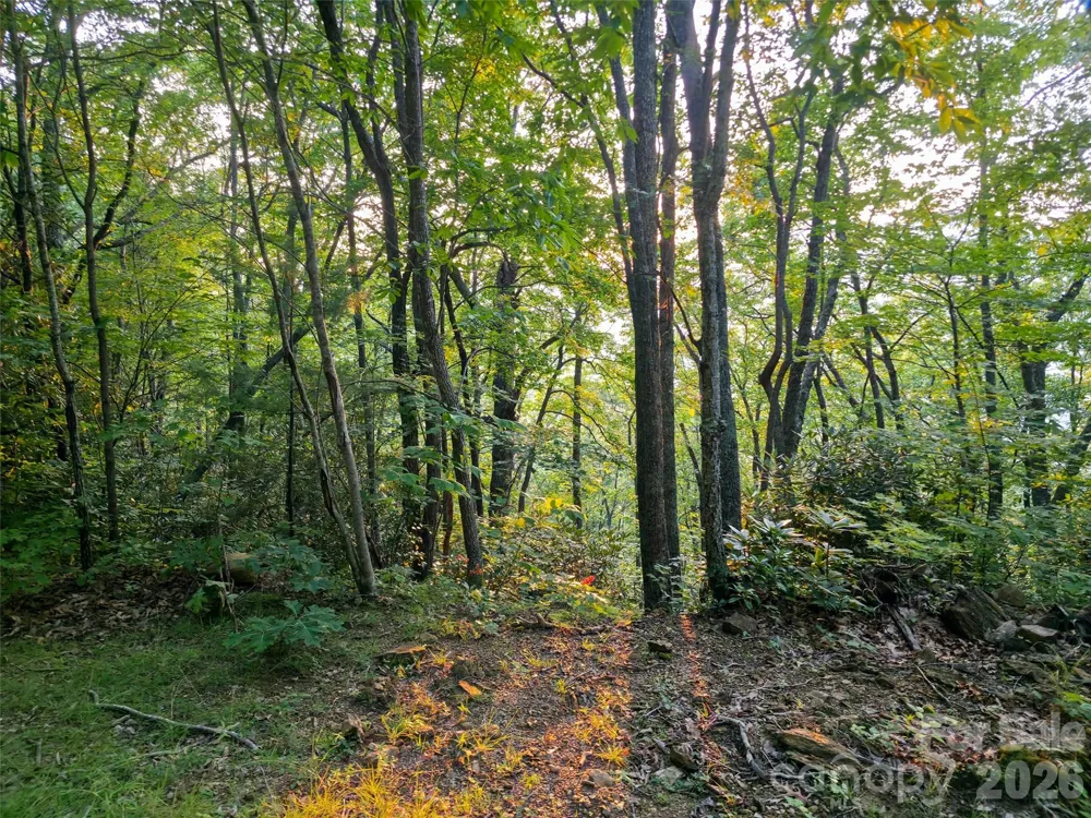 B1-B4 Anglers Ridge Waynesville, NC 28786