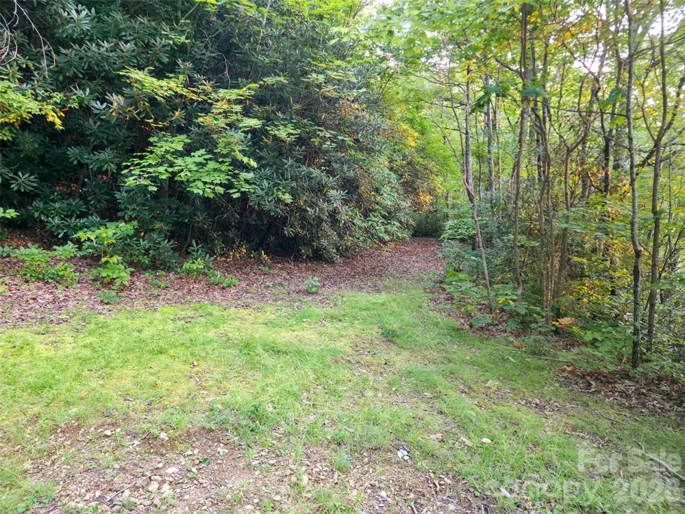 B1-B4 Anglers Ridge Waynesville, NC 28786