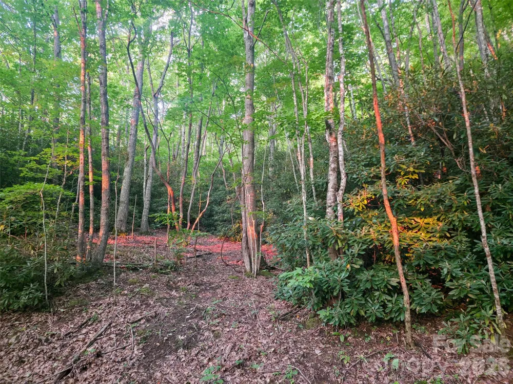 B1-B4 Anglers Ridge Waynesville, NC 28786