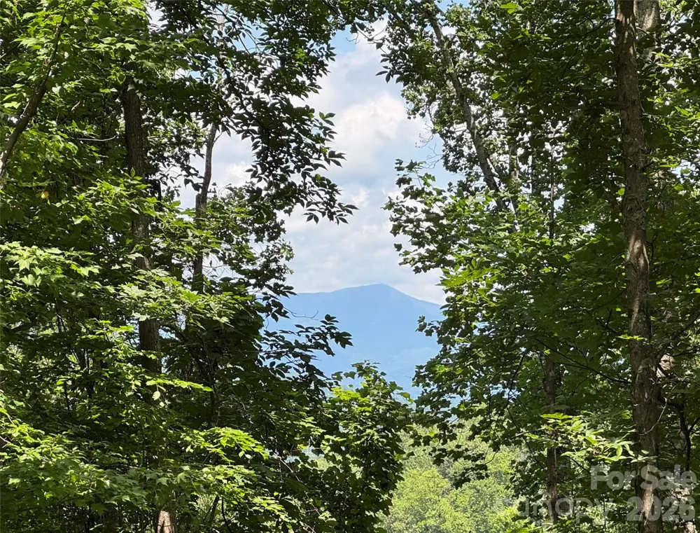 97 High Hickory Trail #2 Swannanoa, NC 28778