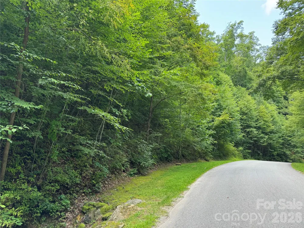 97 High Hickory Trail #2 Swannanoa, NC 28778