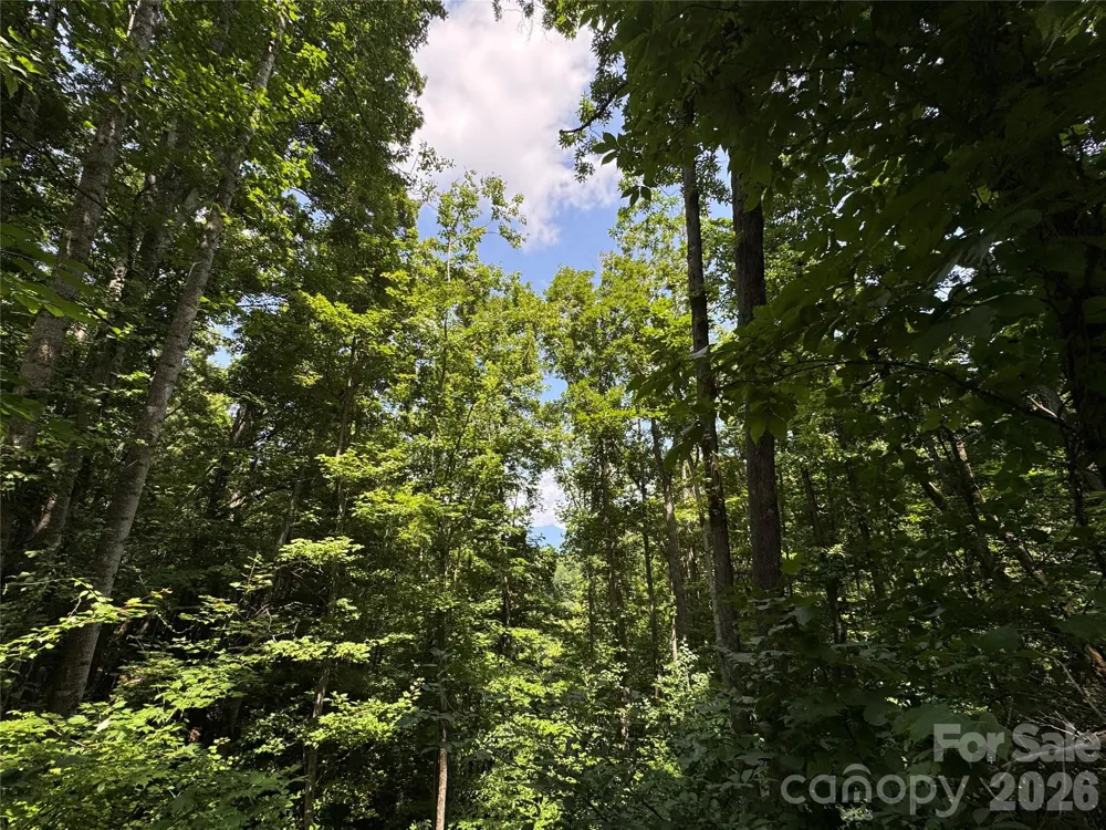 97 High Hickory Trail #2 Swannanoa, NC 28778