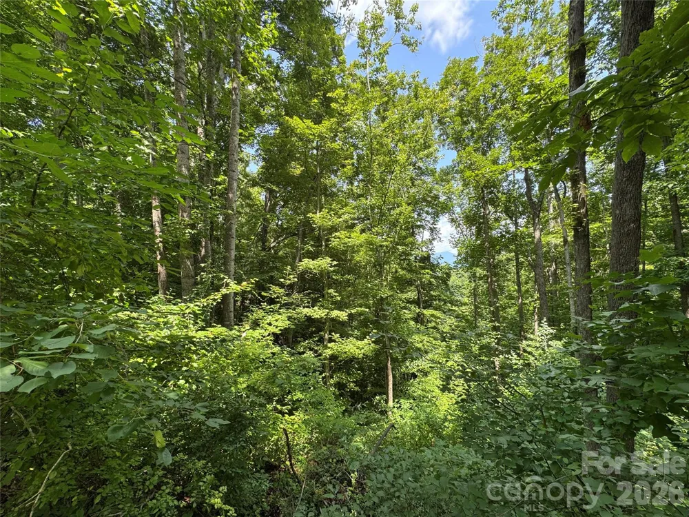 97 High Hickory Trail #2 Swannanoa, NC 28778