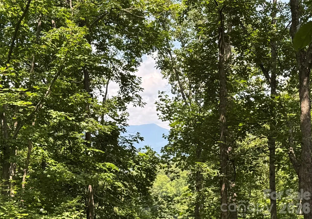 97 High Hickory Trail #2 Swannanoa, NC 28778