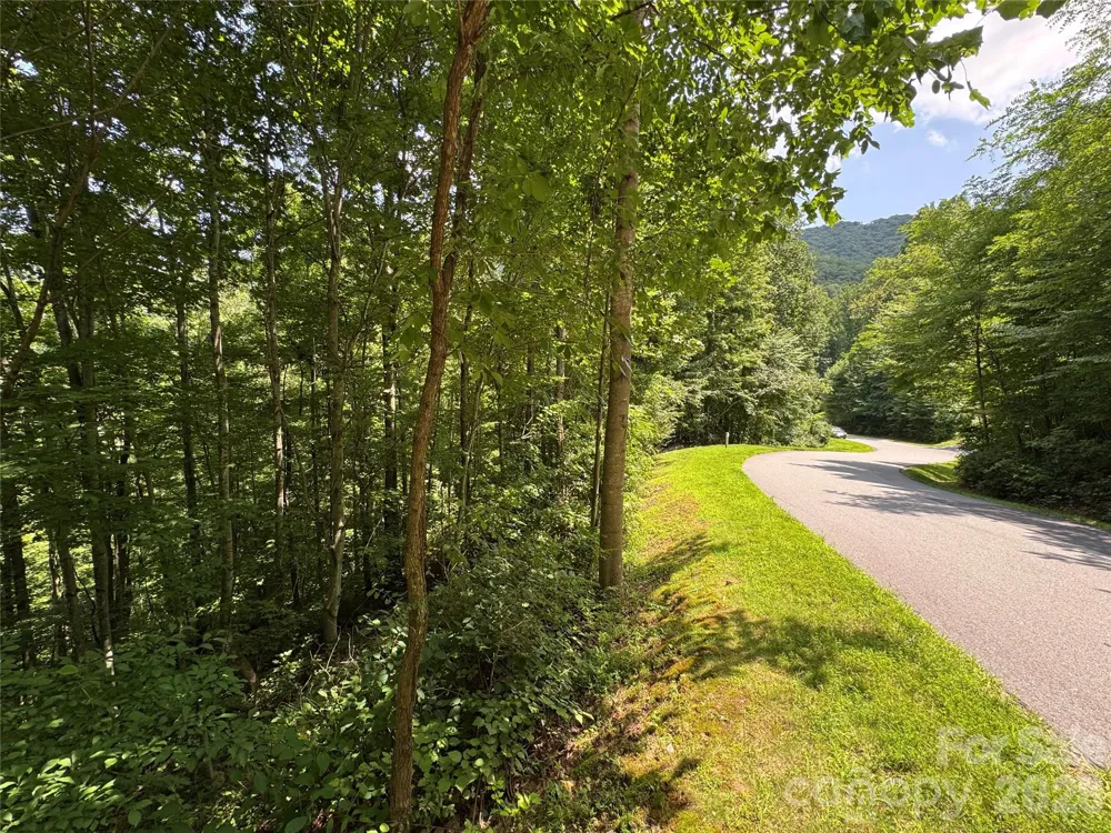 97 High Hickory Trail #2 Swannanoa, NC 28778