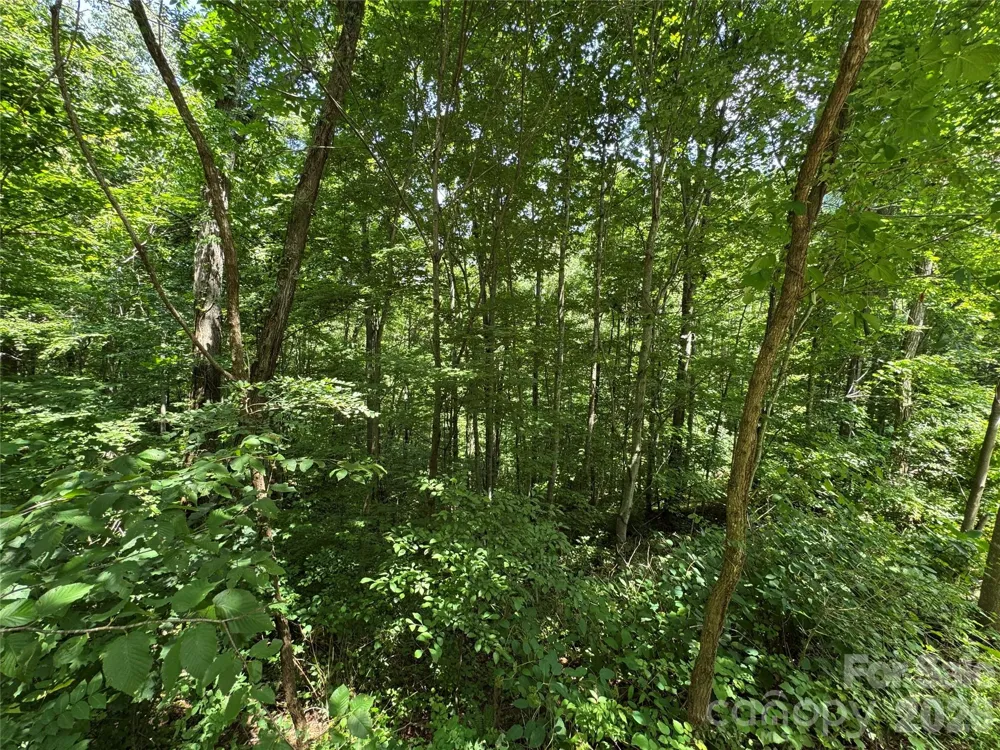 97 High Hickory Trail #2 Swannanoa, NC 28778