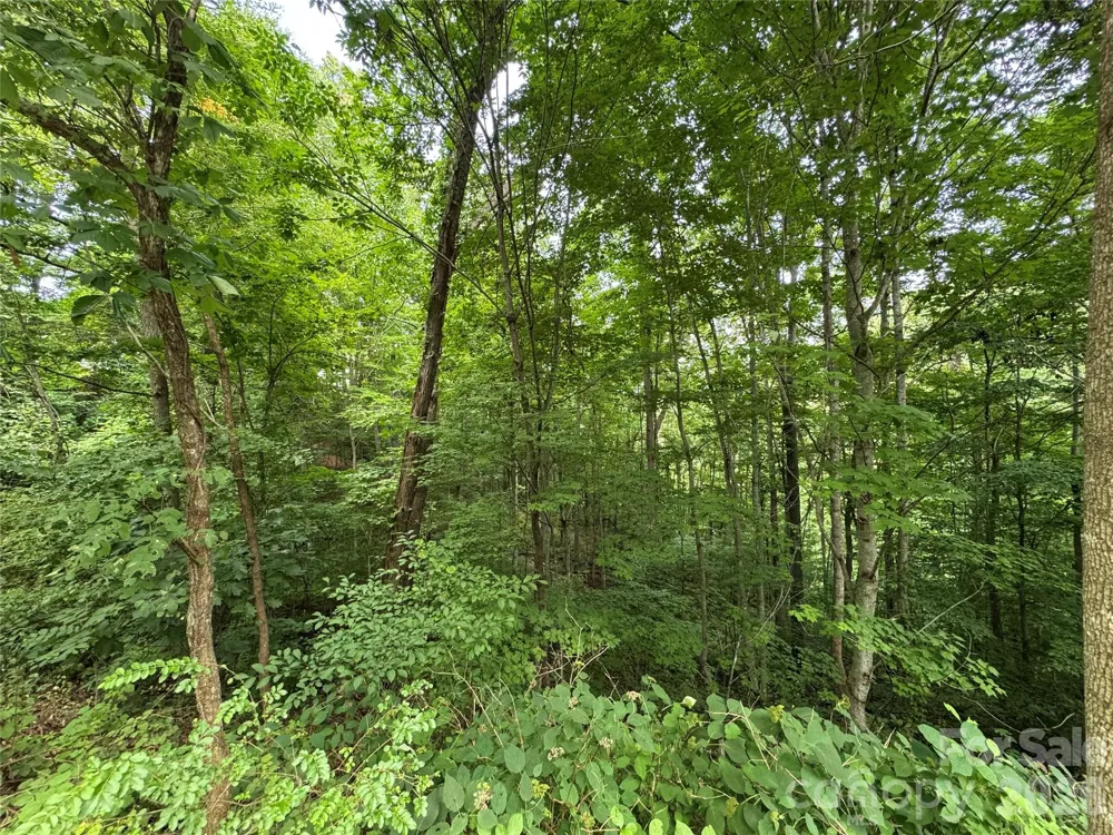 97 High Hickory Trail #2 Swannanoa, NC 28778