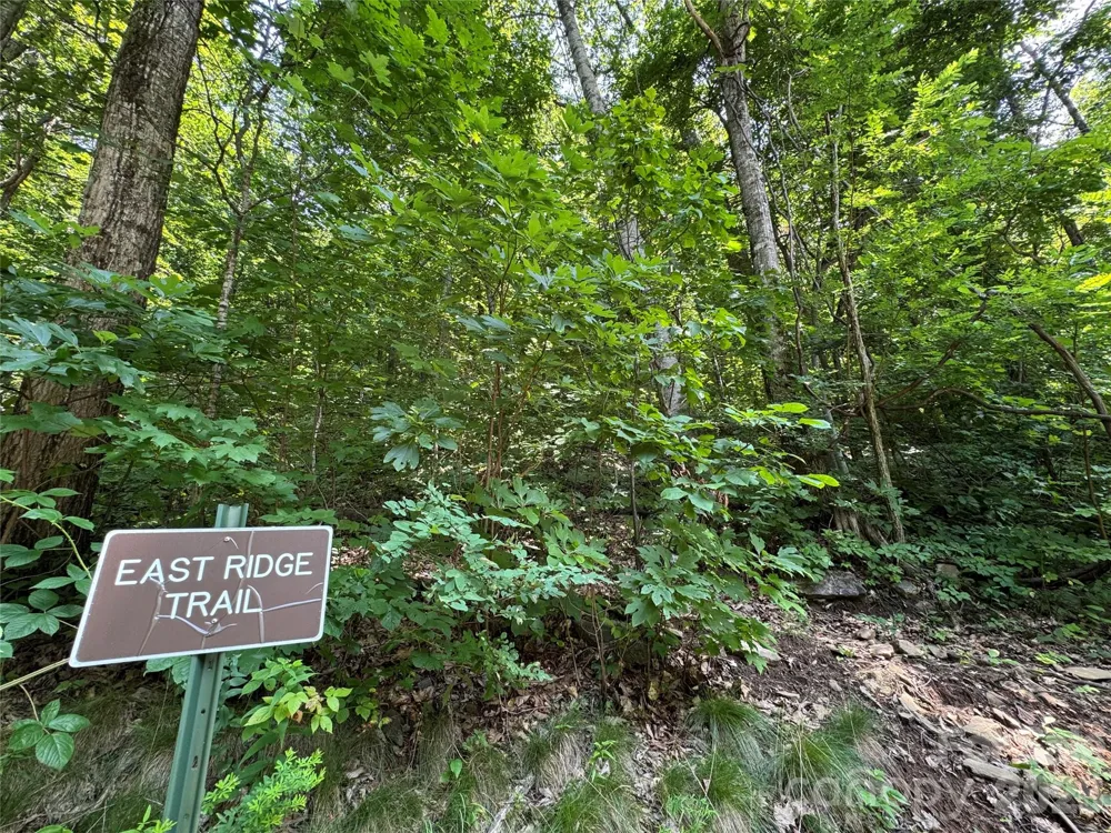 97 High Hickory Trail #2 Swannanoa, NC 28778