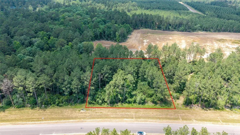 15981 Four Hills Road Willis, TX 77378
