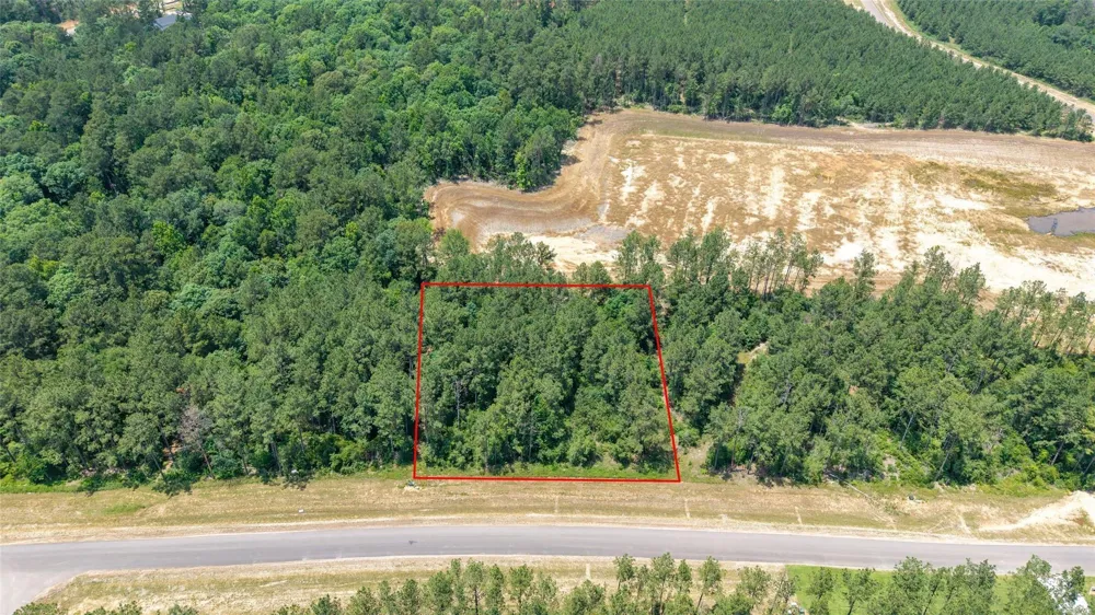 15981 Four Hills Road Willis, TX 77378