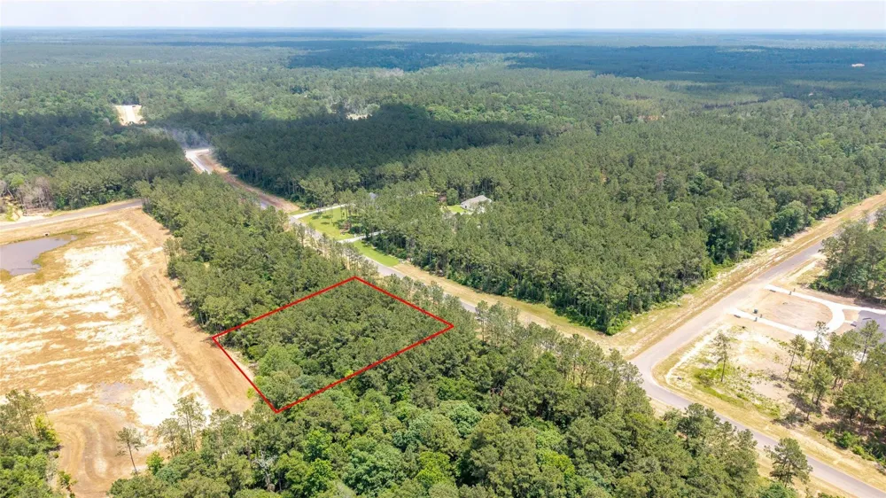 15981 Four Hills Road Willis, TX 77378