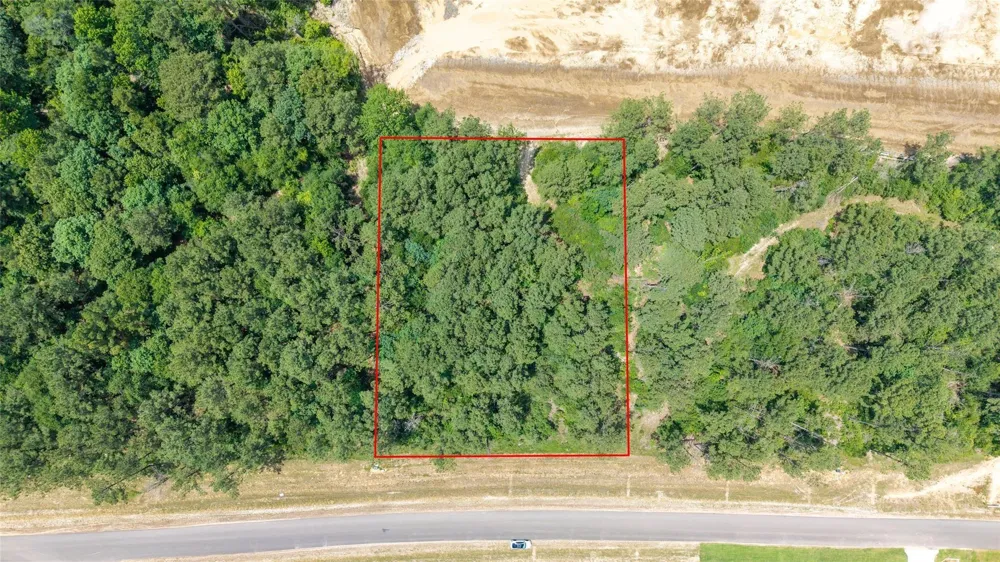 15981 Four Hills Road Willis, TX 77378