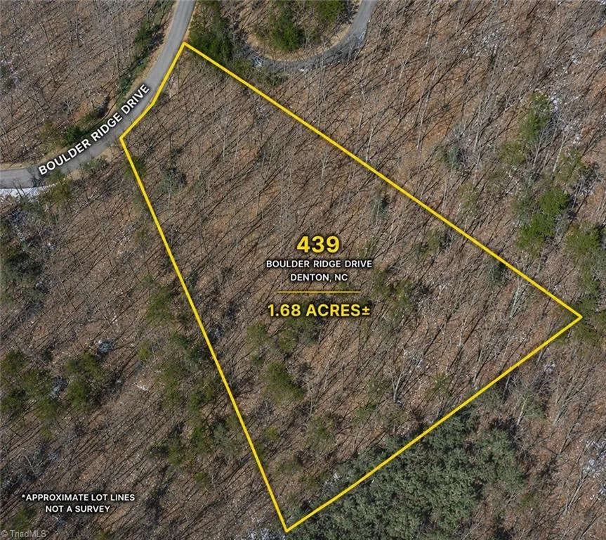 439 Boulder Ridge Drive Denton, NC 27239