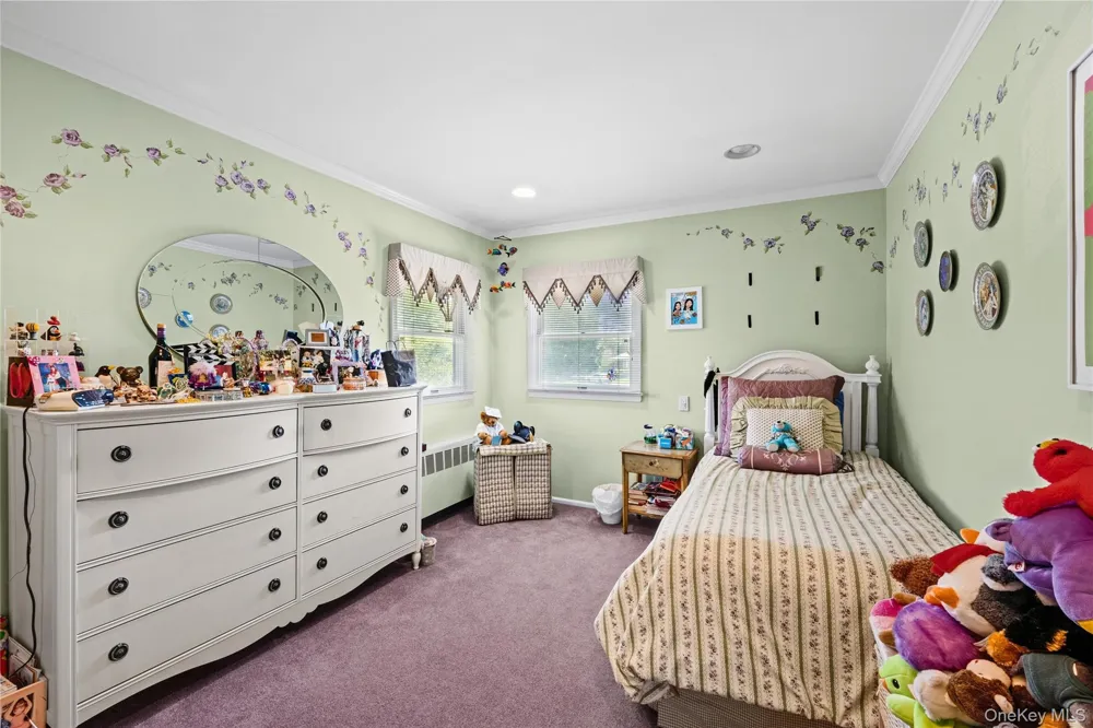 16 Winthrop Road Plainview, NY 11803