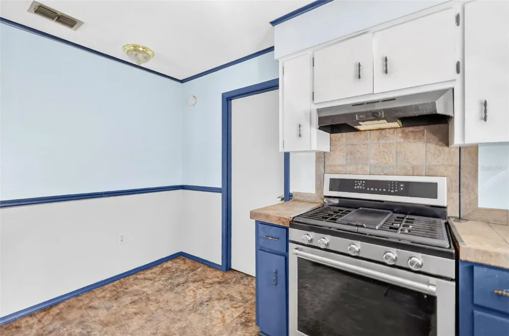 315 S LONE OAK DRIVE Leesburg, FL 34748
