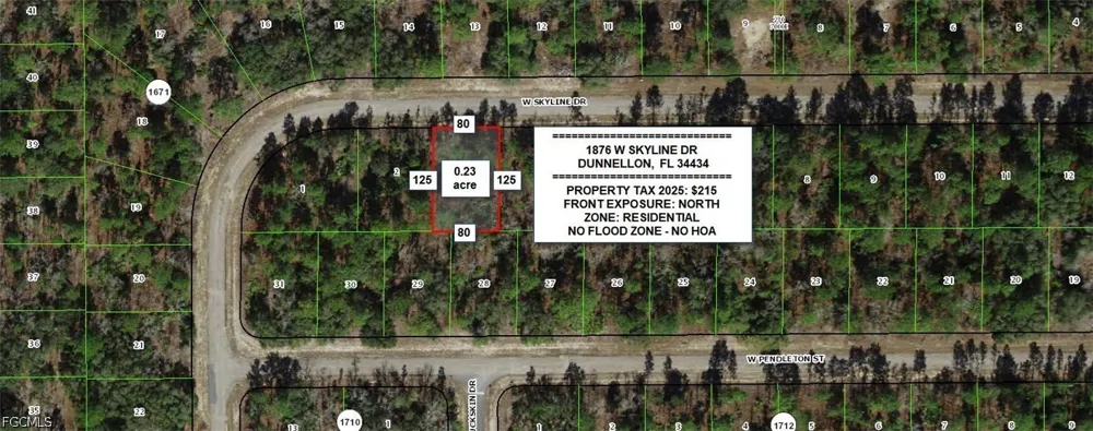 W Skyline Drive Dunnellon, FL 34434