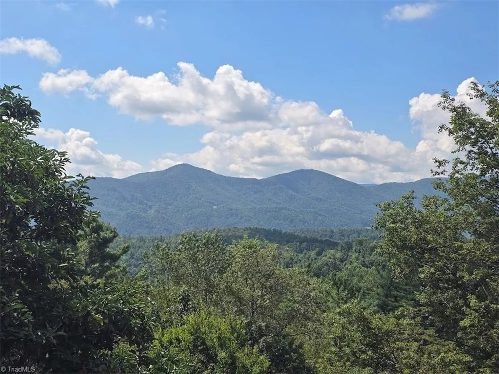 979 Wagon Road Warrensville, NC 28693