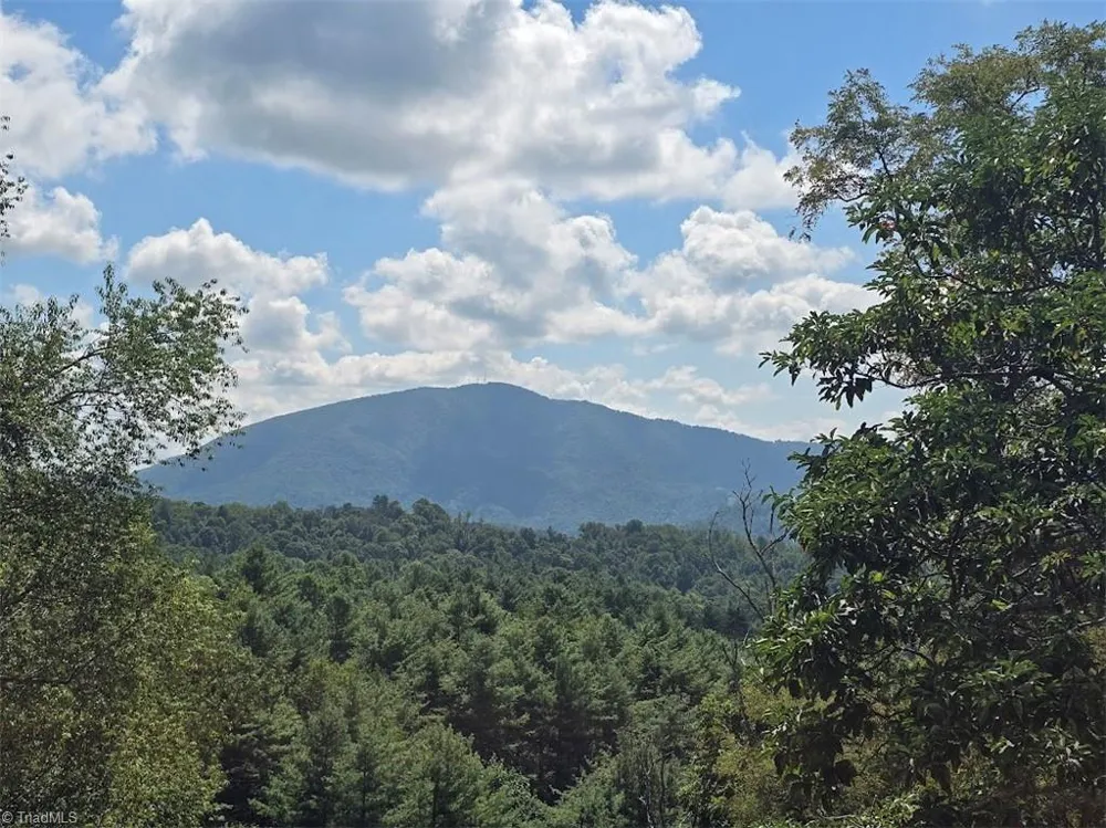 979 Wagon Road Warrensville, NC 28693