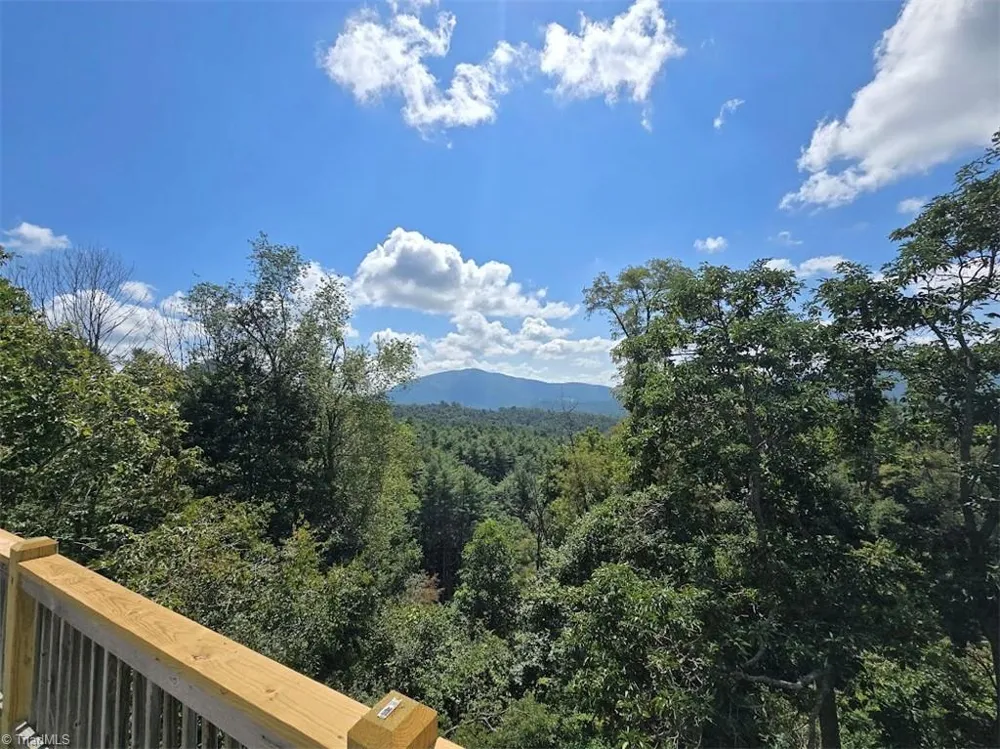 979 Wagon Road Warrensville, NC 28693