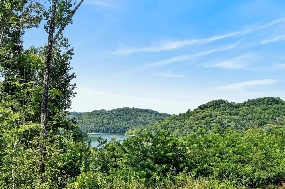2343 Shoreside Dr Smithville, TN 37166