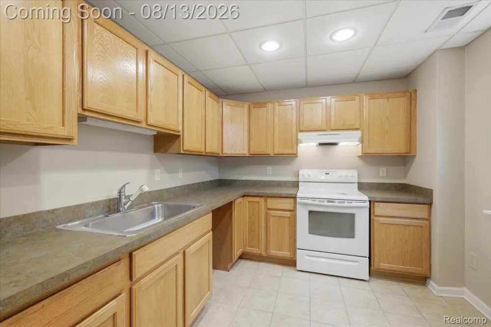 1393 Remsing Street Hartland Township, MI 48353