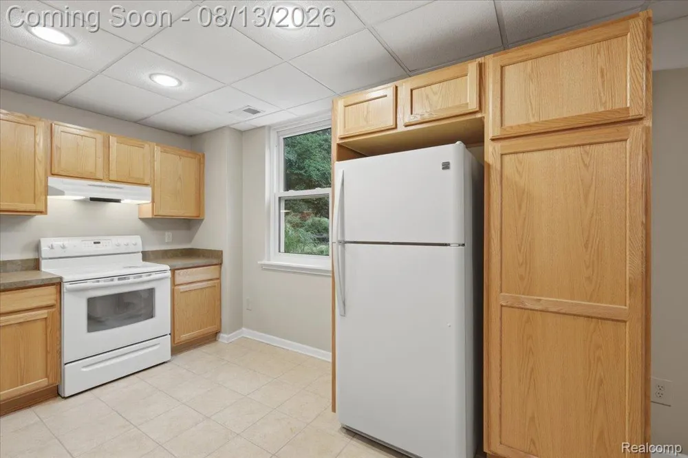 1393 Remsing Street Hartland Township, MI 48353