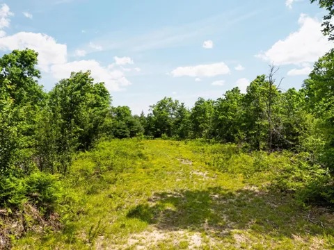 4011 W Forest Road