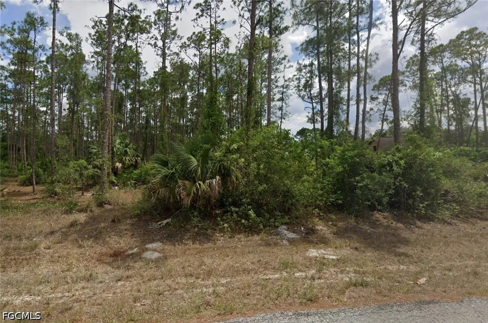 E 22nd Street Alva, FL 33920