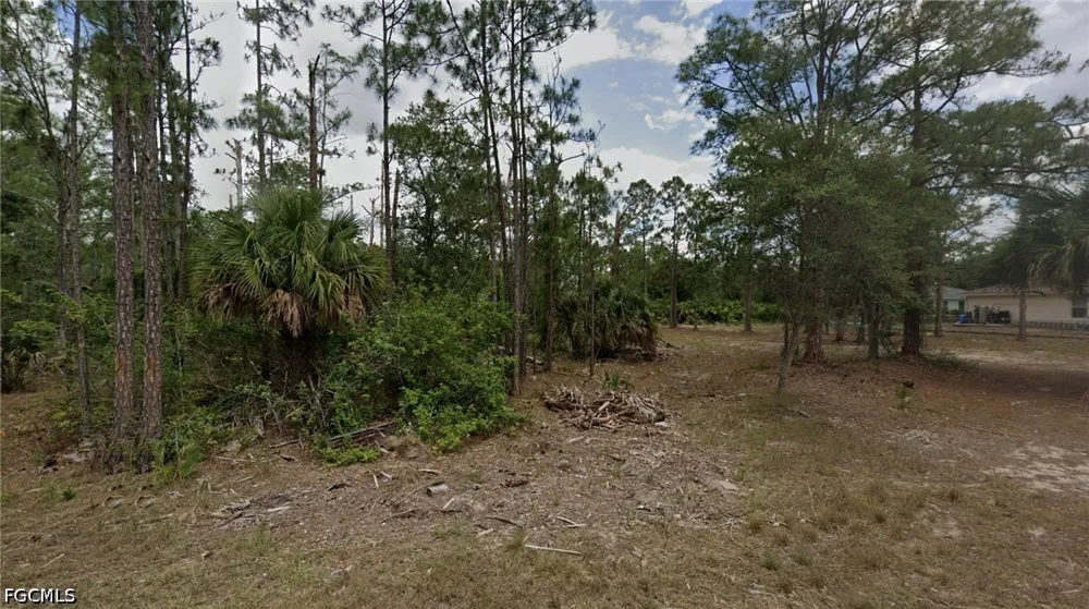 Grayson Avenue Alva, FL 33920