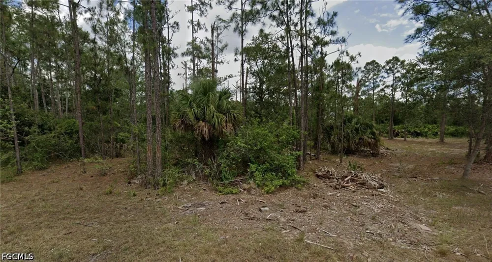 Grayson Avenue Alva, FL 33920