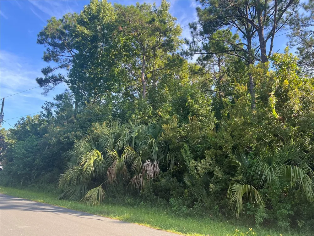 41 RIVERA LANE Palm Coast, FL 32164